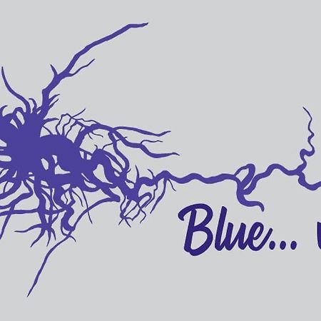 Blue...Violet Lejlighed Nafplio Eksteriør billede