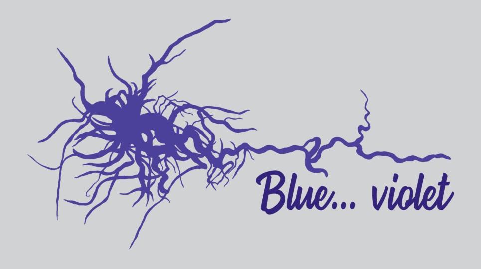 Blue...Violet Lejlighed Nafplio Eksteriør billede